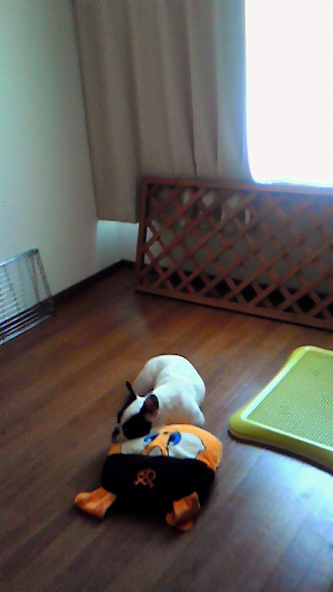 200908261257000.jpg