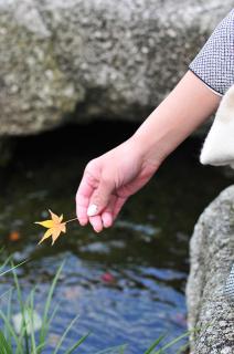 25272474_131460894.jpe