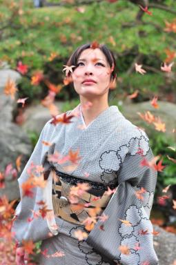 25272474_158118739.jpe