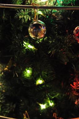 25272474_2121111638.jpe