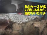 メル１.JPG