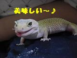 そら２.JPG