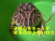 ベル.JPG