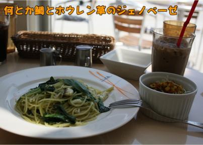 人間ランチ