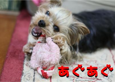 あぐあぐ