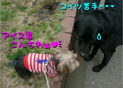 アイス君、こんにちわ。