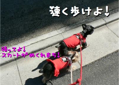 早く歩けよ！