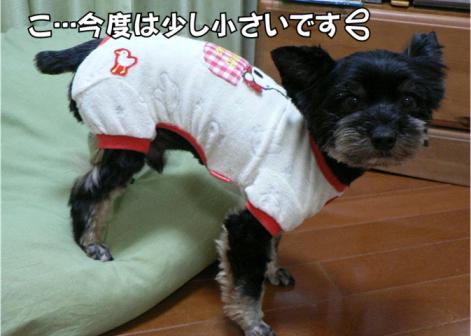 ちっちゃいし…