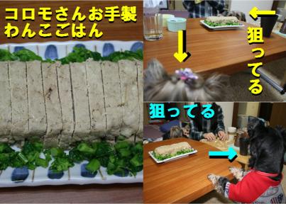 わんこごはん