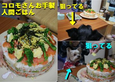 人間ごはん