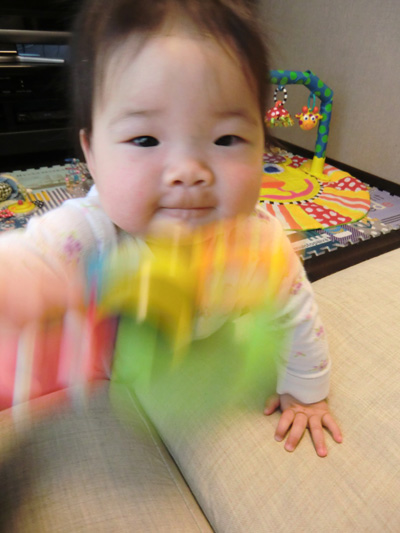 莉緒ちゃん9か月で立ちました!
