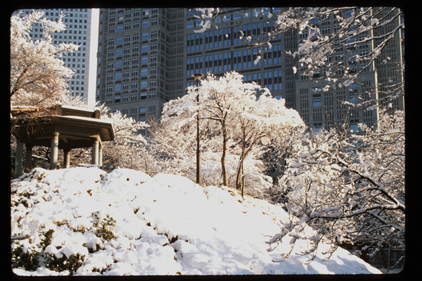 新宿中央公園雪景色