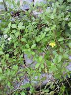 201107141428001.jpg
