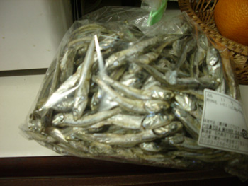 雑魚350.JPG