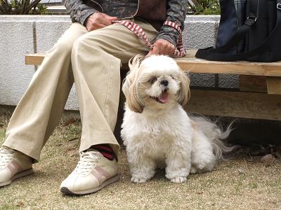 デジカメ 006-1.JPG