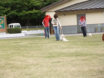 デジカメ 008-1.JPG