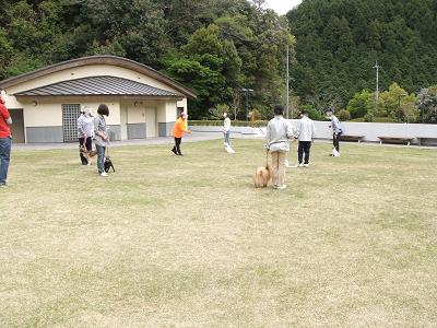 デジカメ 009-1.JPG