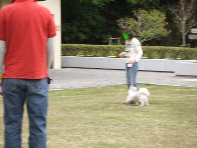 デジカメ 011-1.JPG