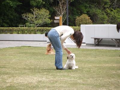 デジカメ 012-1.JPG