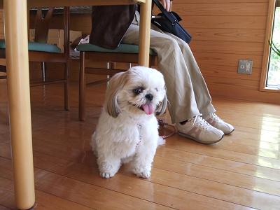 デジカメ 013-1.JPG