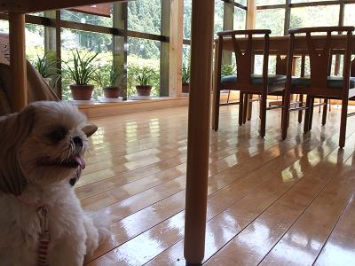 デジカメ 015-1.JPG