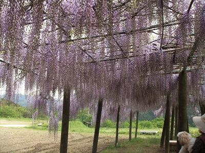 デジカメ 038-1.JPG