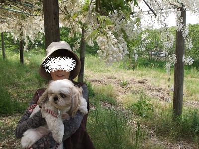 デジカメ 029-1.JPG