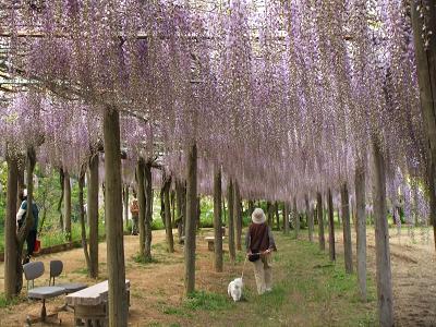 デジカメ 046-1.JPG