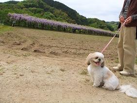 デジカメ 053-1.JPG