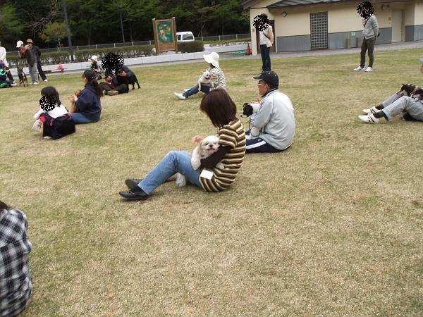 デジカメ 346-1.JPG