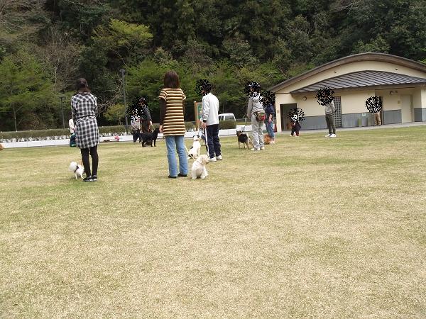 デジカメ 348-1.JPG