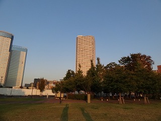 豊洲公園から見えるシエルタワー
