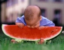 watermelon