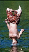 waterdive