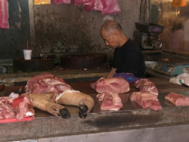 usjbbdaytaiwan 204.jpg