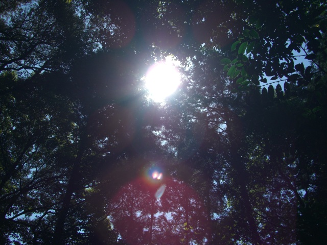 2007年4月29日0078.JPG