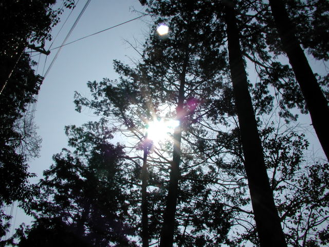 2007年3月4日0101.JPG