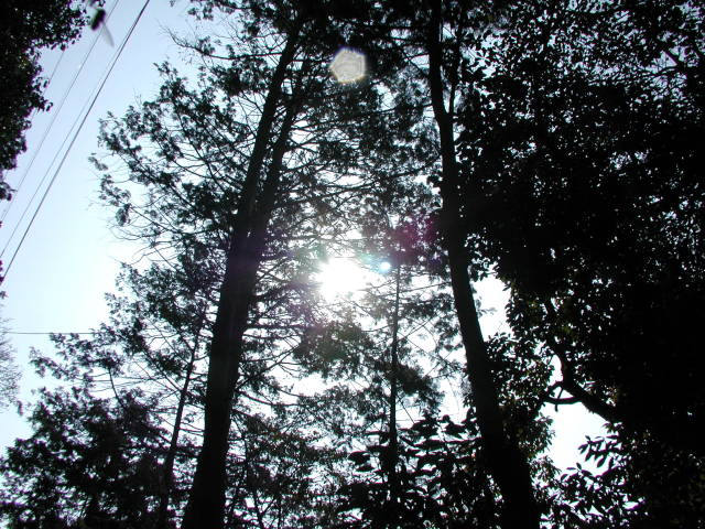 2007年3月4日0100.JPG