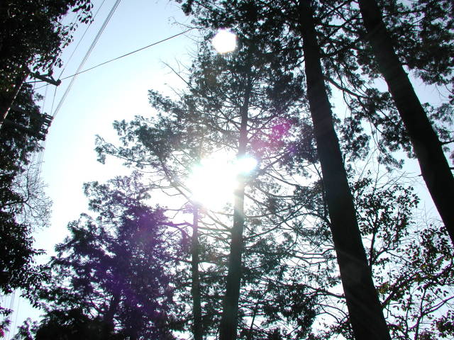 2007年3月4日0099.JPG
