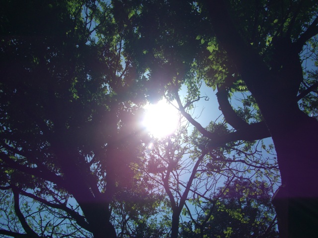 2007年4月29日0081.JPG