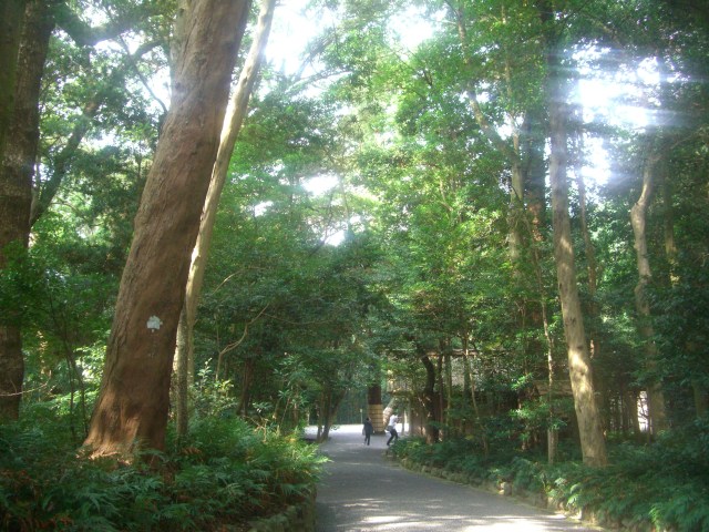 2007年9月23日(2)0045.JPG