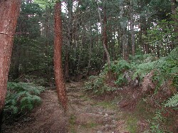 2005-08-13 23:25:14