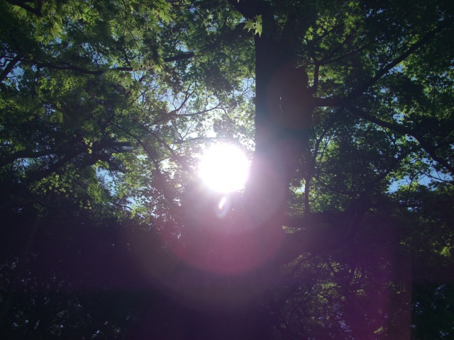 2007年4月29日0071.JPG