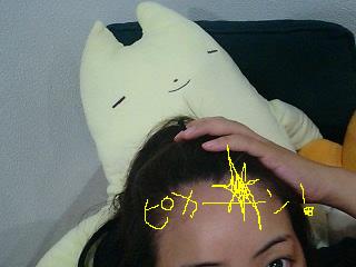 ツルツルだべ～～～