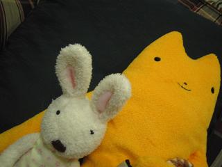 本当にふわふわのフモフモさん♪