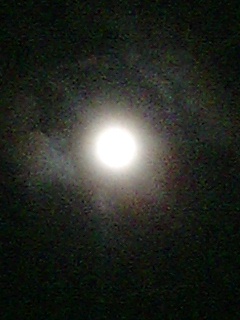 寄りすぎて眩しい満月