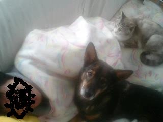 みんなともだち