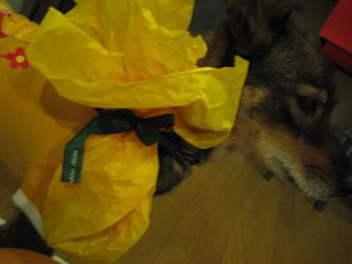 動かないプレゼンター