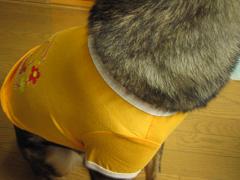 ムチっとしてるぅー(≧▽≦)