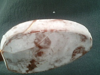 被災アイス　こんなです